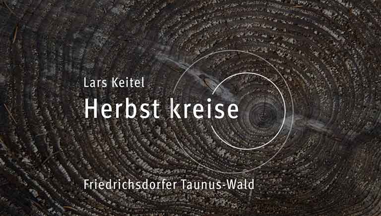 img_hebstkreise_intro_sm Herbstkreise zeigen sich im geschlagenen Holz