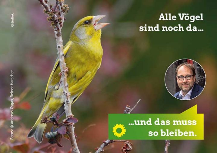 img_vogelheft_titel_sm Titel Vogelheft mit Lars Keitel und singendem Grünfink, , Copyright: Andreas Gygax und Reiner Harscher